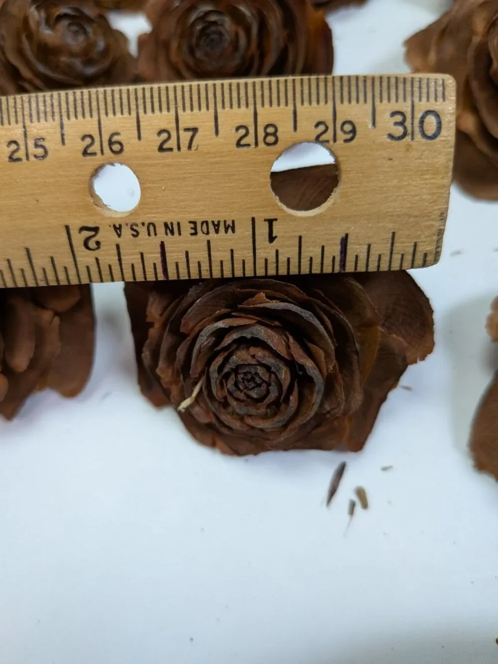 30 Real Cedar Rose Cones Natural Wooden Flowers Crafting & Wreath Supply